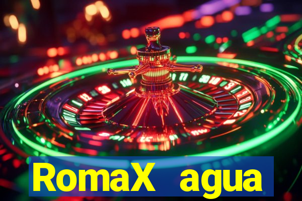 RomaX agua sanitaria fispq agua sanitaria romax